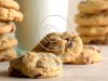 White Chocolate Cranberry Cookies