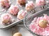 Raspberry Coconut Balls