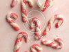 Christmas Candy Cane Cookies