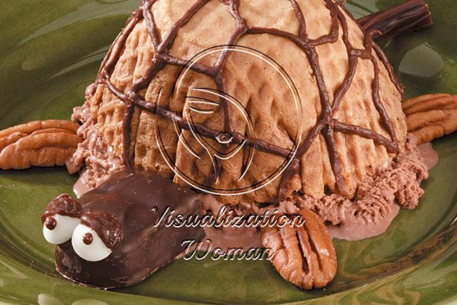 Ice Cream Turtle