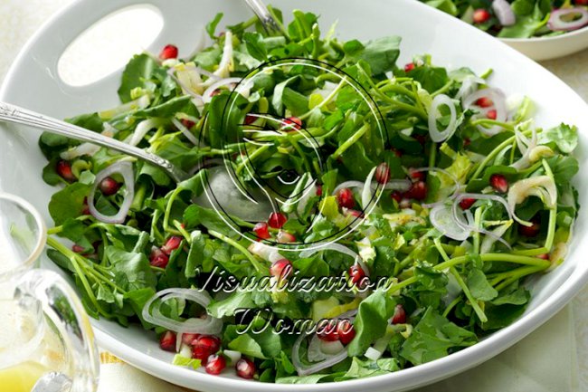 Jeweled Endive Salad