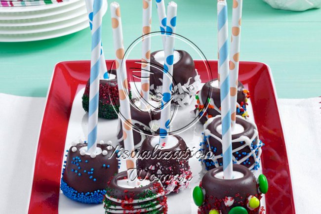 Chocolate-Topped Marshmallow Sticks