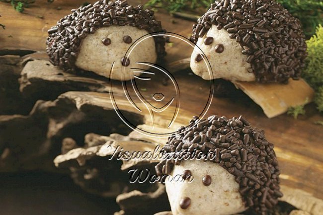 Chocolate-Pecan Hedgehog Cookies