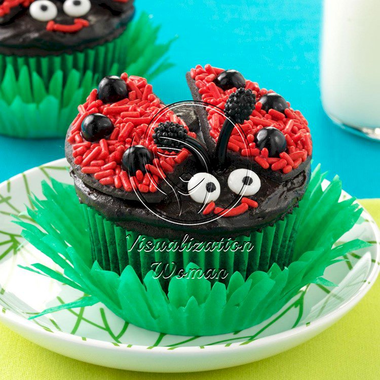 Lady Bug Chocolate Cupcakes